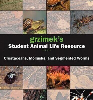 خرید و دانلود نسخه کامل کتاب Grzimek’s Student Animal Life Resource. Crustaceans, Mollusks, And Segmented Worms
