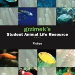خرید و دانلود نسخه کامل کتاب Grzimek’s Student Animal Life Resource: Fishes