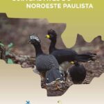 خرید و دانلود نسخه کامل کتاب Guia das aves do noroeste paulista