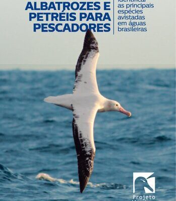 خرید و دانلود نسخه کامل کتاب Guia de Albatrozes e Petreis-para-pescadores-2022
