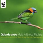 خرید و دانلود نسخه کامل کتاب Guia de aves Mata Atlantica Paulista