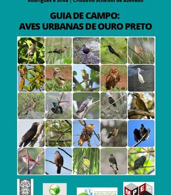 خرید و دانلود نسخه کامل کتاب Guia de campo. Aves urbanas de Ouro Preto
