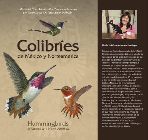 خرید و دانلود نسخه کامل کتاب Guía de Colibríes de México y Norteamérica_68e7c243c3833.jpeg خرید و دانلود نسخه کامل کتاب Guía de Colibríes de México y Norteamérica