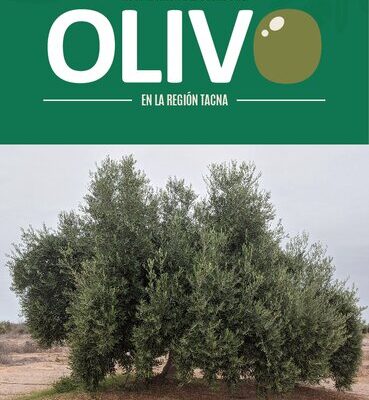 خرید و دانلود نسخه کامل کتاب Guía técnica del cultivo de olivo (Olea europaea L.) en la región Tacna