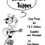 خرید و دانلود نسخه کامل کتاب Guitar tripper