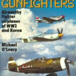 خرید و دانلود نسخه کامل کتاب Gunfighters. Airworthy Fighter Airplanes of WW2 and Korea – GothScans