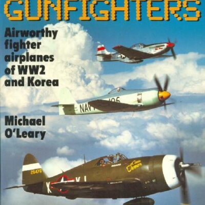 خرید و دانلود نسخه کامل کتاب Gunfighters. Airworthy Fighter Airplanes of WW2 and Korea – GothScans