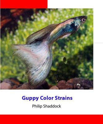 خرید و دانلود نسخه کامل کتاب Guppy Color Strains