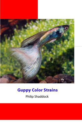 خرید و دانلود نسخه کامل کتاب Guppy Color Strains_68e1cd6b4a961.jpeg خرید و دانلود نسخه کامل کتاب Guppy Color Strains