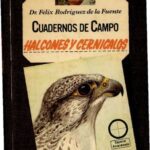 خرید و دانلود نسخه کامل کتاب Halcones y cernícalos