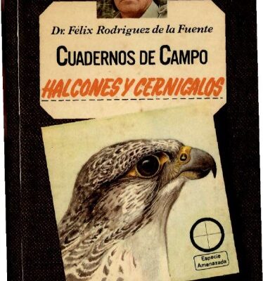 خرید و دانلود نسخه کامل کتاب Halcones y cernícalos