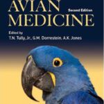 خرید و دانلود نسخه کامل کتاب Handbook of avian medicine