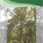 خرید و دانلود نسخه کامل کتاب Handbook of Forest Trees in Andaman & Nicobar Islands