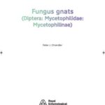 خرید و دانلود نسخه کامل کتاب Handbooks for the identification of British insects: Fungus gnats (Diptera Mycetophilidae Mycetophilinae)
