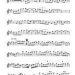 خرید و دانلود نسخه کامل کتاب Harlem nocturne