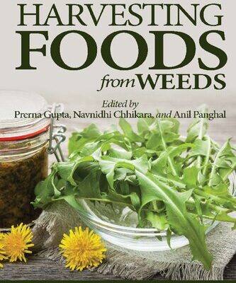 خرید و دانلود نسخه کامل کتاب Harvesting Food from Weeds