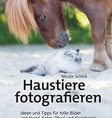 خرید و دانلود نسخه کامل کتاب Haustiere fotografieren: Ideen und Tipps für tolle Bilder von Hund, Katze, Pferd und Kleintieren