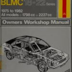 خرید و دانلود نسخه کامل کتاب Haynes BL Princess & BLMC 18-22 Series Owners Workshop Manual