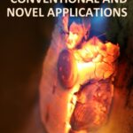 خرید و دانلود نسخه کامل کتاب Heat Treatment: Conventional and Novel Applications