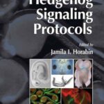 خرید و دانلود نسخه کامل کتاب Hedgehog Signaling Protocols