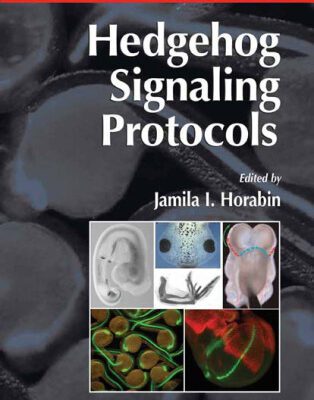 خرید و دانلود نسخه کامل کتاب Hedgehog Signaling Protocols