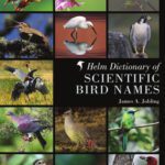 خرید و دانلود نسخه کامل کتاب Helm Dictionary of Scientific Bird Names
