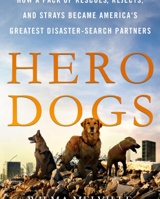 خرید و دانلود نسخه کامل کتاب Hero Dogs: How a Pack of Rescues, Rejects, and Strays Became America’s Greatest Disaster-Search Partners