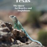 خرید و دانلود نسخه کامل کتاب Herping Texas: The Quest for Reptiles and Amphibians
