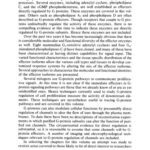 خرید و دانلود نسخه کامل کتاب Heterotrimeric G-Protein Effectors