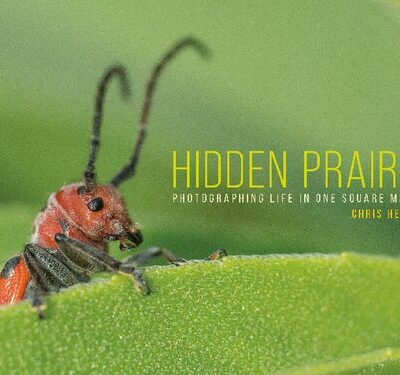 خرید و دانلود نسخه کامل کتاب Hidden Prairie: Photographing Life in One Square Meter