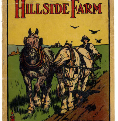 خرید و دانلود نسخه کامل کتاب Hillside Farm