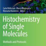 خرید و دانلود نسخه کامل کتاب Histochemistry of Single Molecules: Methods and Protocols