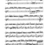 خرید و دانلود نسخه کامل کتاب Histoire du Tango (flute and guitar)