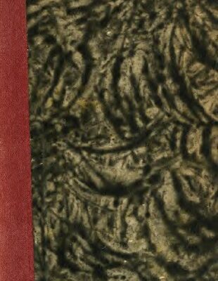 خرید و دانلود نسخه کامل کتاب Historya literatury polskiej / 4.