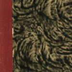 خرید و دانلود نسخه کامل کتاب Historya literatury polskiej / 5.