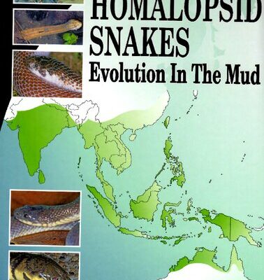 خرید و دانلود نسخه کامل کتاب Homalopsid Snakes, Evolution in the Mud