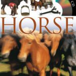 خرید و دانلود نسخه کامل کتاب Horse (DK Eyewitness Books)