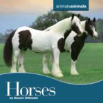 خرید و دانلود نسخه کامل کتاب Horses (Animals Animals)
