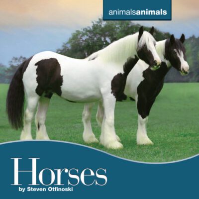 خرید و دانلود نسخه کامل کتاب Horses (Animals Animals)