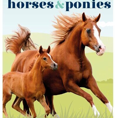 خرید و دانلود نسخه کامل کتاب Horses & Ponies: Everything You Need to Know, From Bridles and Breeds to Jodhpurs and Jumping!