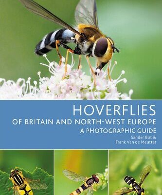 خرید و دانلود نسخه کامل کتاب Hoverflies of Britain and North-west Europe : A Photographic Guide