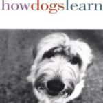 خرید و دانلود نسخه کامل کتاب How Dogs Learn
