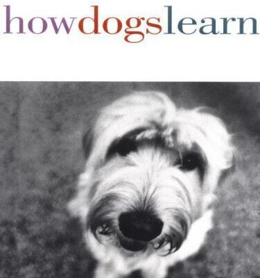 خرید و دانلود نسخه کامل کتاب How Dogs Learn