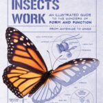 خرید و دانلود نسخه کامل کتاب How Insects Works