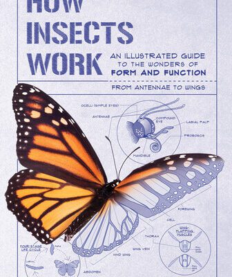 خرید و دانلود نسخه کامل کتاب How Insects Works