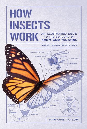 خرید و دانلود نسخه کامل کتاب How Insects Works_68e7c92c3679f.jpeg خرید و دانلود نسخه کامل کتاب How Insects Works