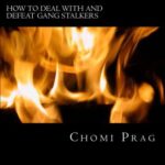 خرید و دانلود نسخه کامل کتاب How to Deal with and Defeat Gang Stalkers