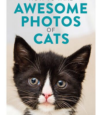 خرید و دانلود نسخه کامل کتاب How to Take Awesome Photos of Cats