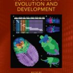 خرید و دانلود نسخه کامل کتاب Hox Modules in Evolution and Development