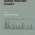خرید و دانلود نسخه کامل کتاب Human Molecular Genetics